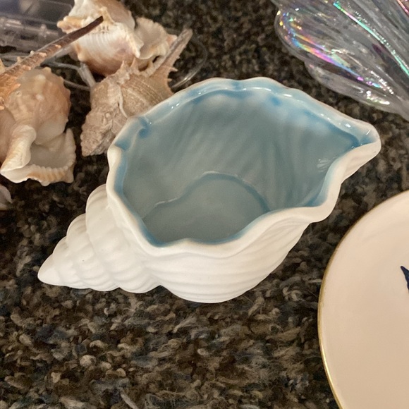 Huge Shell Decor Set, Brand New! - Picture 4 of 6